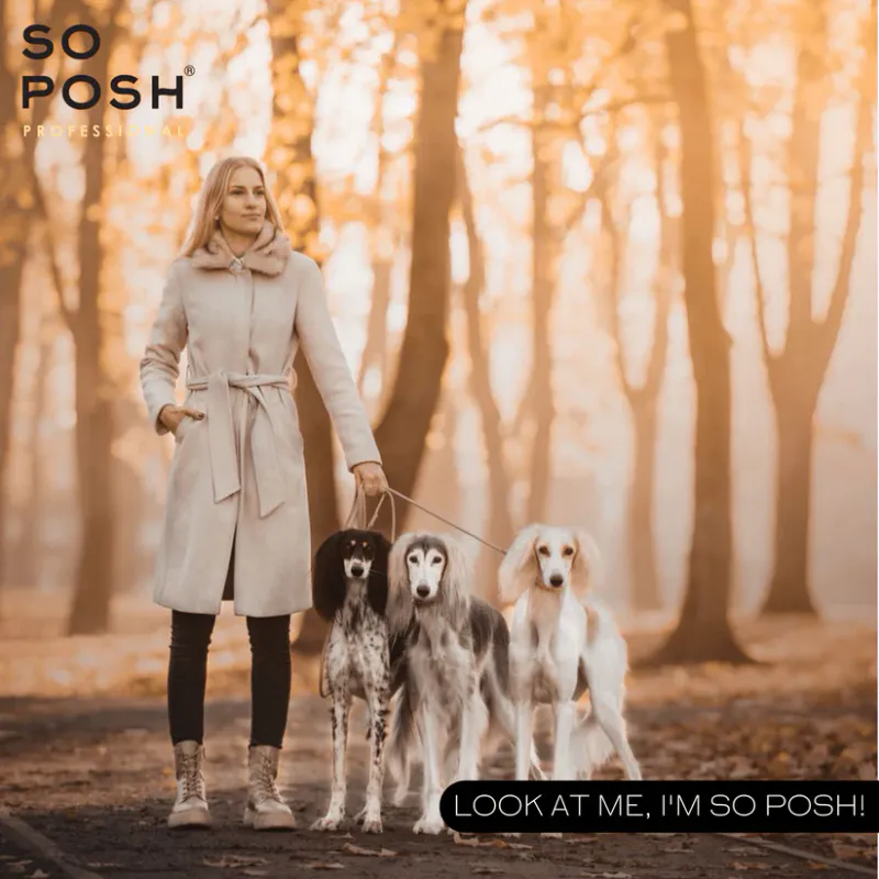 Im So Silky 4L. (Silk Protein Rinse-off Conditioner), SoPosh