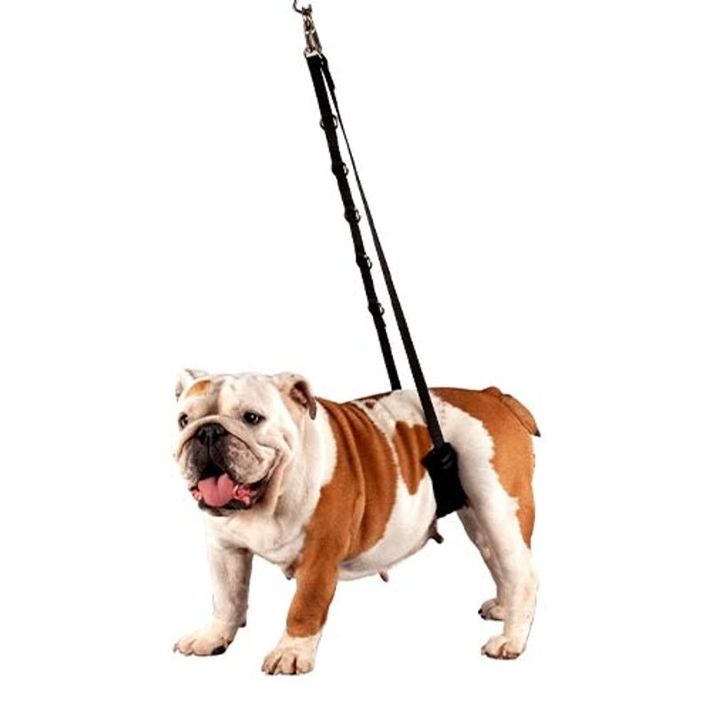 Galgeløkke med magepolstring Small Dogs, ShowTech